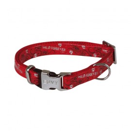 Envy Forever dog collar - Red