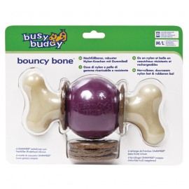 Busy Buddy Bouncy bone