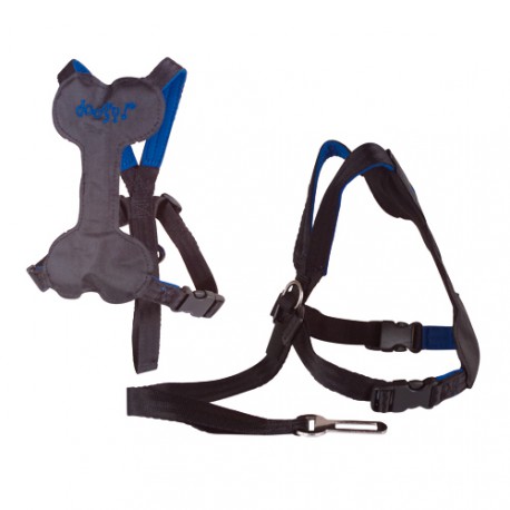 Safety harness for car