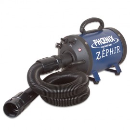 Phoenix Universal Zephir portable Blaster-Dryer