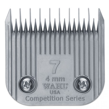 wahl competition