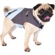 Doogy 2 in 1 tampa raincoat - grey / blue