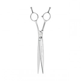 Ehaso Revolution Straight Stainless Steel 21cm