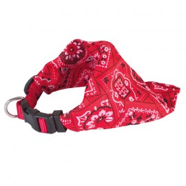 Star bandana collar - red