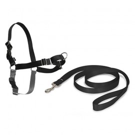Easy Walk black Harness + leash