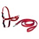 Easy Walk red Harness + leash