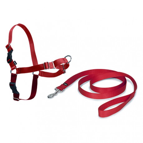 Easy Walk red Harness + leash