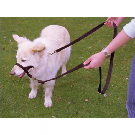 Leash Halti Black 3 Positions