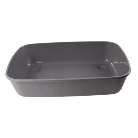 Tray without rim