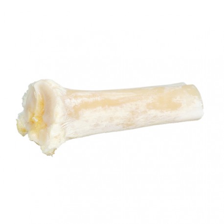 Calcium Bone