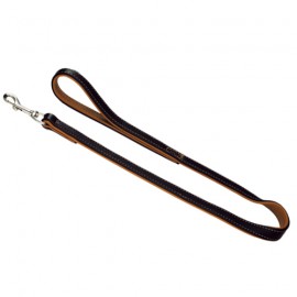 Leather Leashes