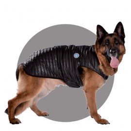 Explo Jacket ( special for big dogs)