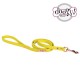 Simili Summer Leashes