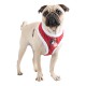 Puppia Red Harness