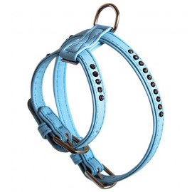 Blue Harness Glamorous