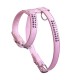 Pink Harness Glamorous