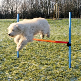 Agility training hurdle