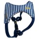 Matelot harness blue