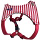 Matelot harness red