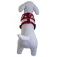 Dog t-shirt harness Tahiti red