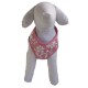 Dog t-shirt harness Tahiti pink