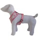 Dog t-shirt harness Tahiti pink