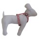 Dog adjustable harness Tahiti pink