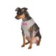 Dog t-shirt harness Kirielle raspberry