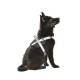 Dog easy harness camouflage grey