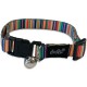 cat collar rainbow