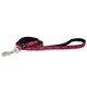 fancy cat harness and leash set relax good cat