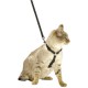 Black safe cat harness and leash set