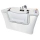 SPA bath tub with door/ramp