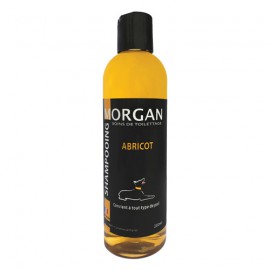 Morgan apricot protein shampoo