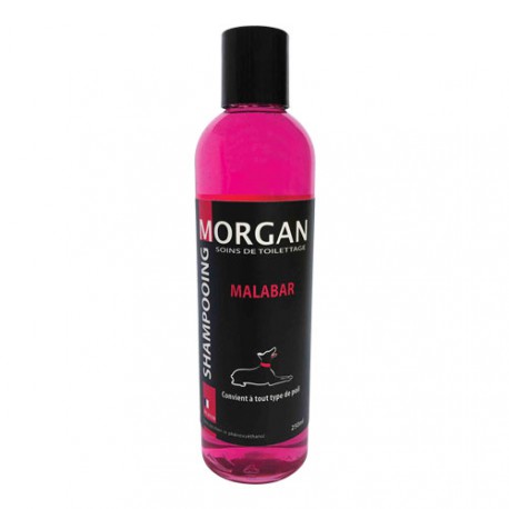 Morgan malabar protein shampoo