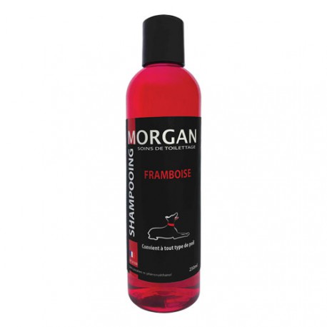 Morgan raspberry protein shampoo