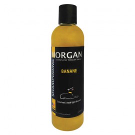 Morgan banana protein shampoo