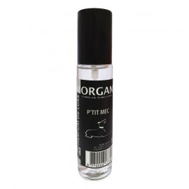 Morgan Luxury Perfume "P'tit Mec"
