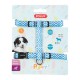 Puppy pixie harness blue