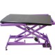 Phoenix Universal Callisto electric table purple