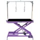 Phoenix Universal Callisto electric table purple