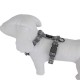 Doogy Grey Brazil Harness