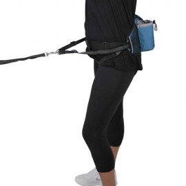 Blue Jogging Belt and lead