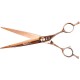 Phoenix Universal Cobalt straight scissors 17cm