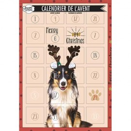 ADVENT CALENDAR FOR DOGS