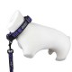 Doogy Sport Collar Purple