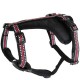 Doogy Sport Harness Red