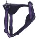 Doogy Sport Harness Purple