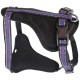 Doogy Sport Harness Purple