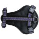 Doogy Sport Harness Purple